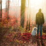 hocking hills trails with dogs